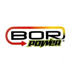 Bor Power